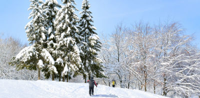 Laurentides en hiver